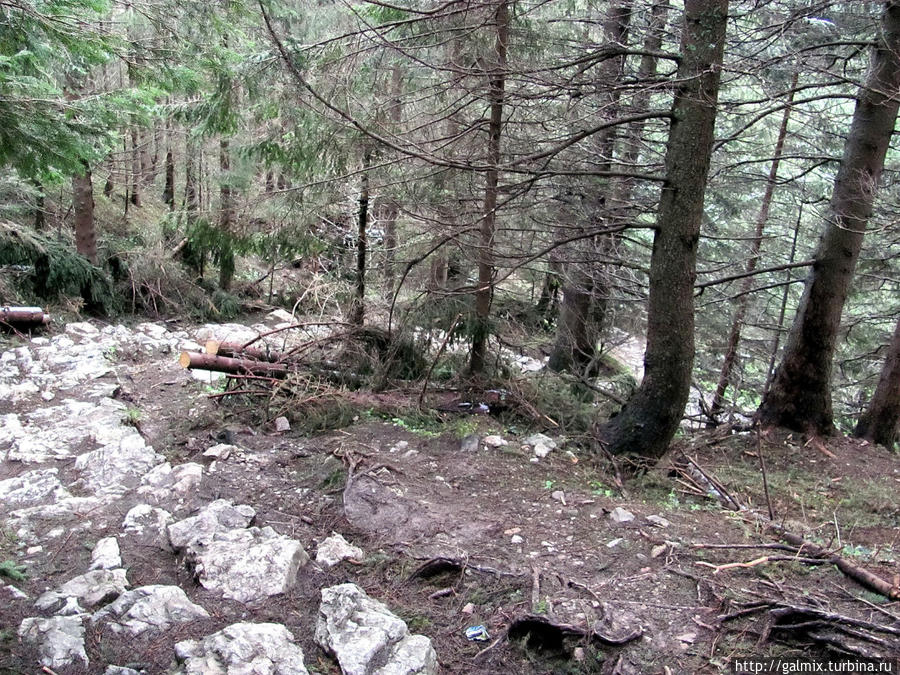 Подъем на Гевонт Закопане, Польша