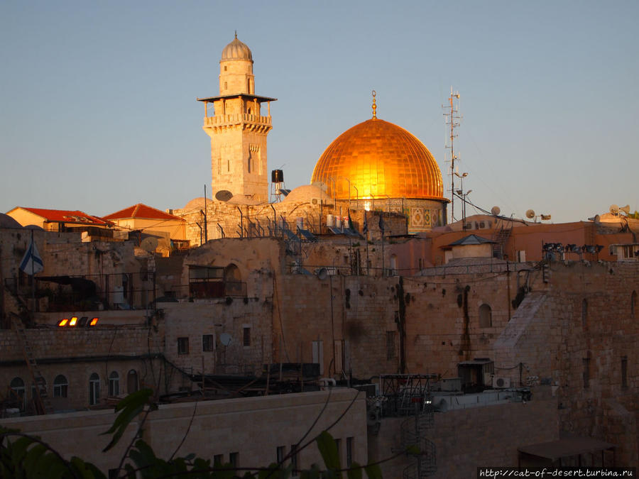 За стеной видны купола мечетей. Иерусалим, Израиль