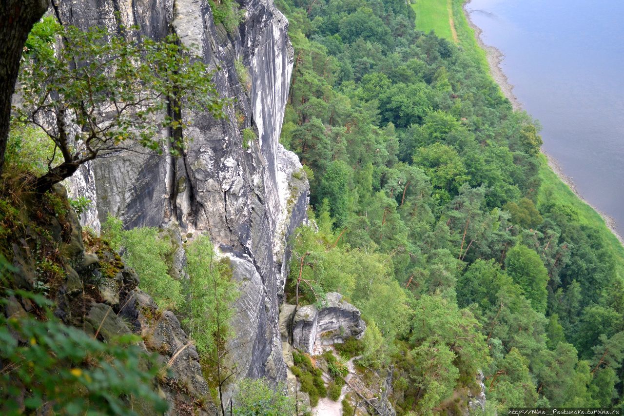 В Саксонской Швейцарии. Скалы и мост Бастай Саксонская Швейцария Национальный Парк, Германия