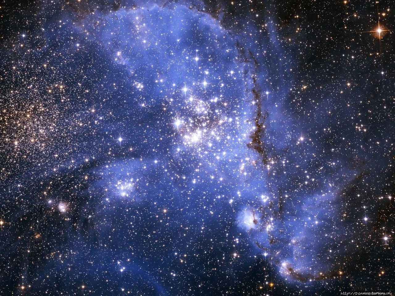 Звезды Турбины