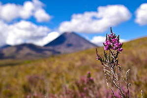 Вулкан Ngauruhoe (2291 м) — роковая гора Властелина Колец