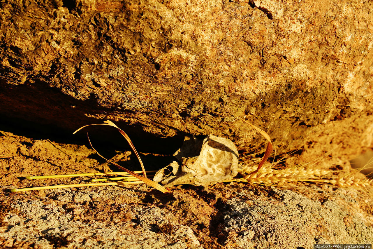 Воспоминания #3 Санкт-Петербург и Ленинградская область, Россия