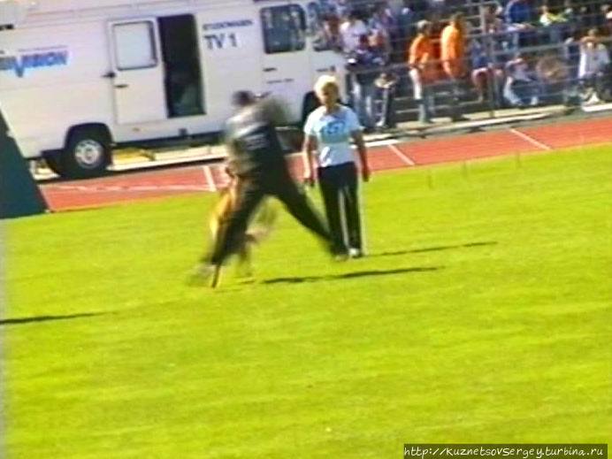 Первый день Зигера в Ульме. Проверка поведения. Германия