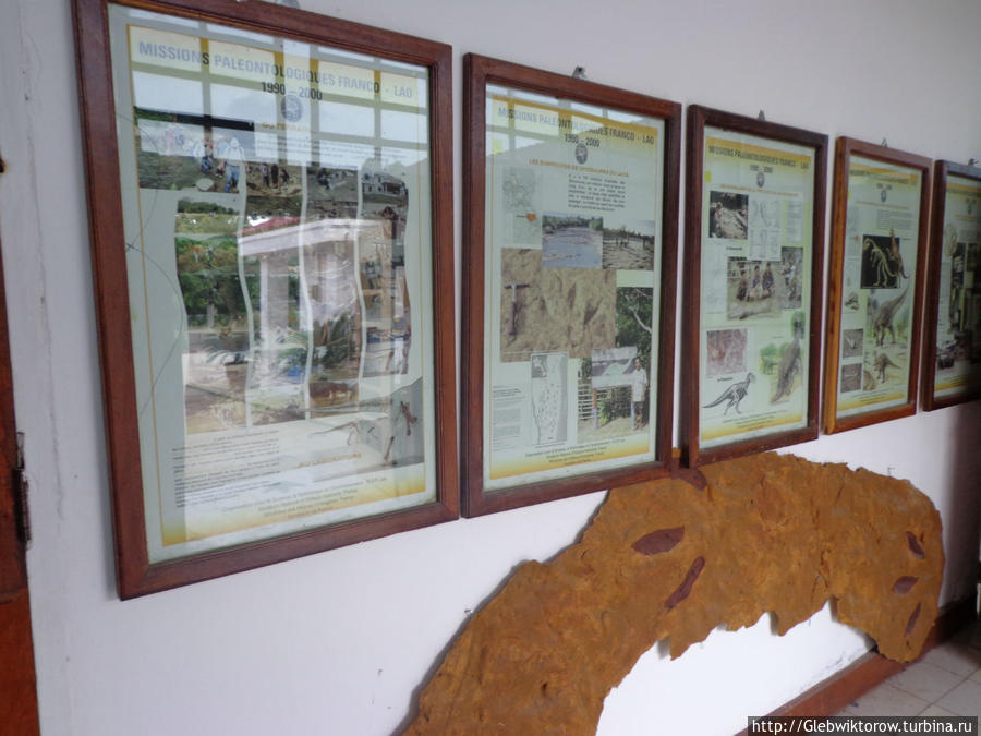 Музей динозавров Саваннакхет, Лаос