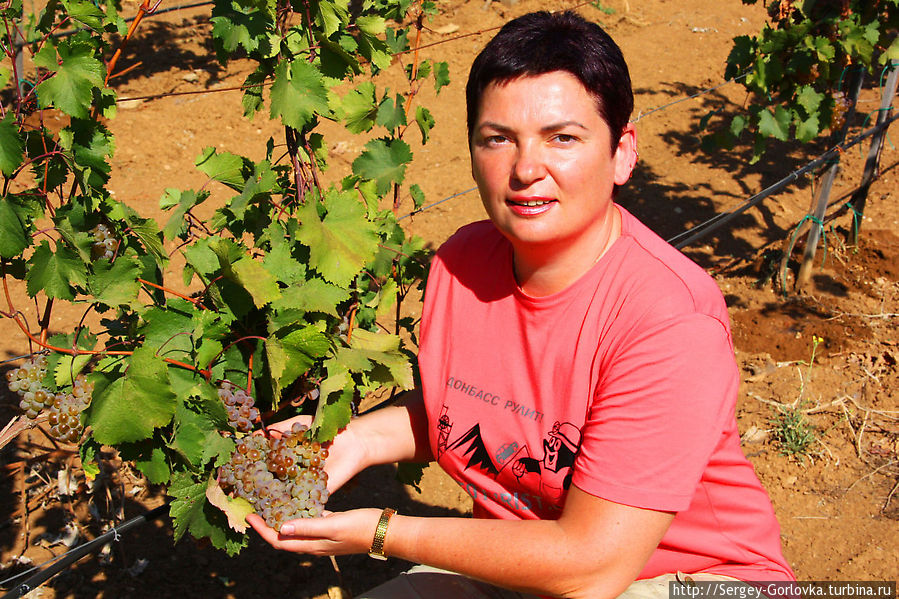 Золотая Амфора 2012 Песчаное, Россия