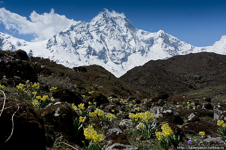 Массив Хималчули