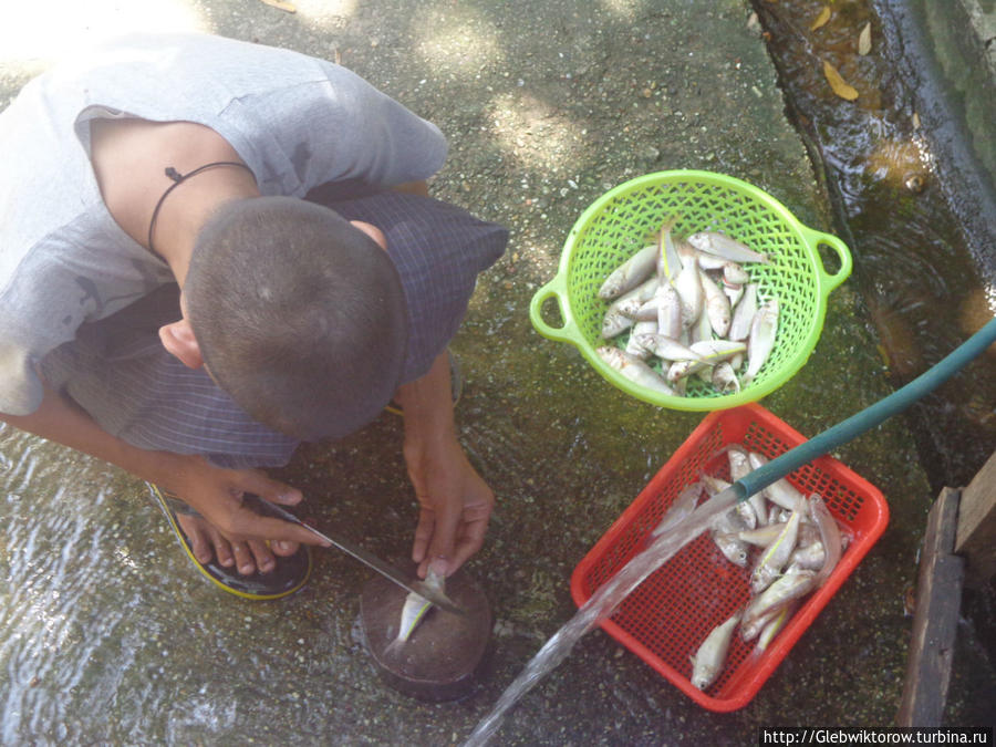 Yangon Zoological Garden Янгон, Мьянма