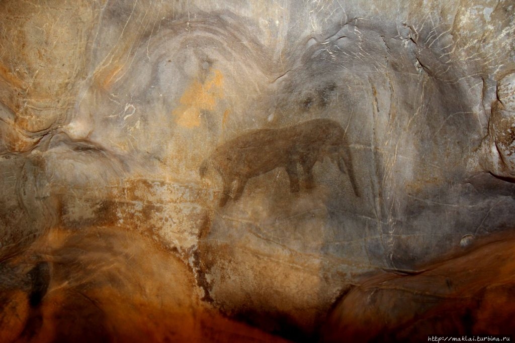 Из интернета Канго-Кейвс, ЮАР