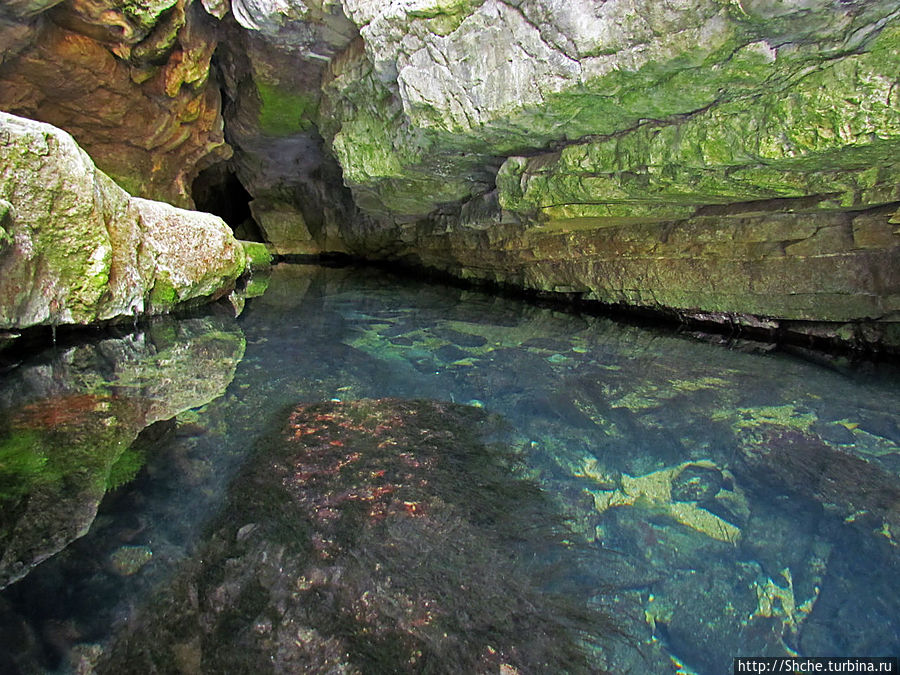 Пещера с источником  Житолюб (Жълти люб)