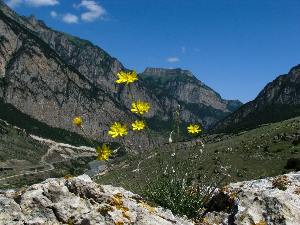 селение Зинцар Зинцар, Россия
