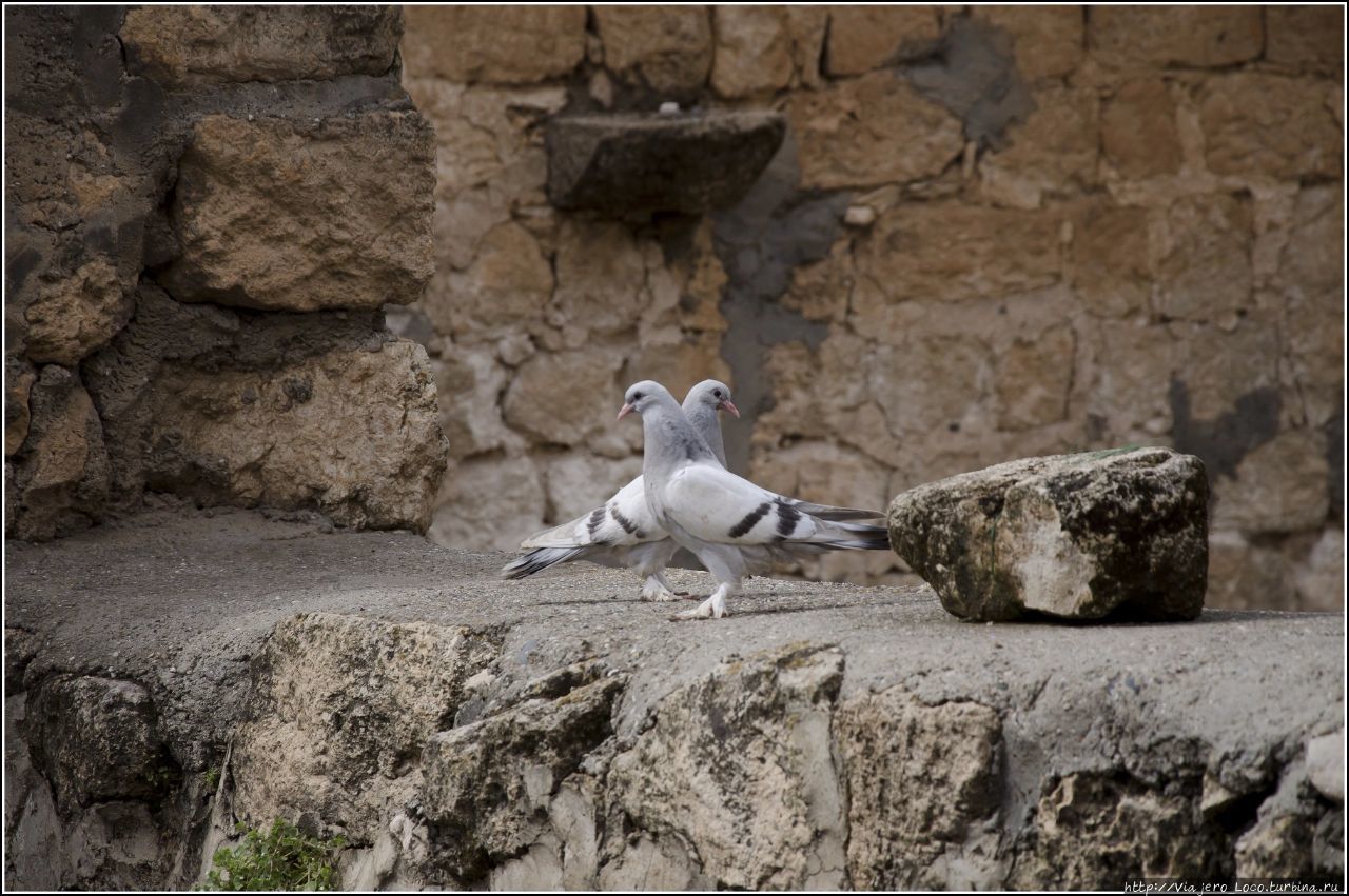Оплот христианства на востоке Турции Мардин, Турция