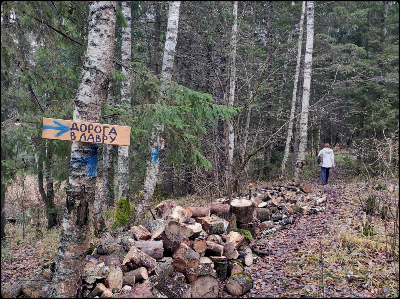 Дорога в Лавру Сергиев Посад, Россия