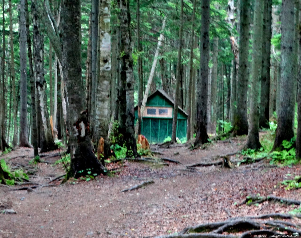 Родники мои, родники Долинск, Россия Родники мои, родники Долинск, Россия
