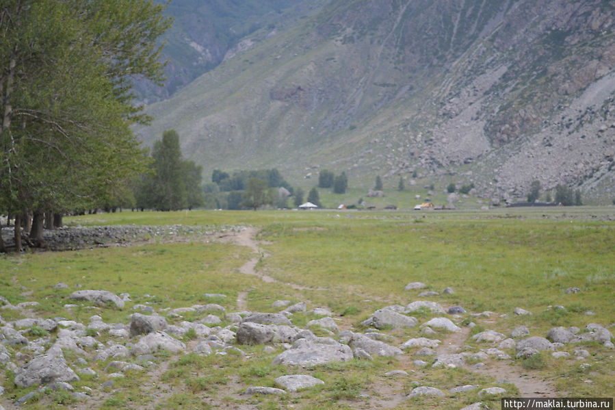 По грибы — в урочище Ак-Корум Республика Алтай, Россия