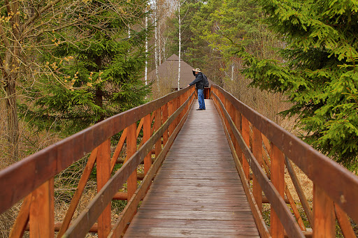 Музей и Природный Парк Кшеменки-Опатовские / Museum Rezerwat Przyrody Krzemionki Opatowskie