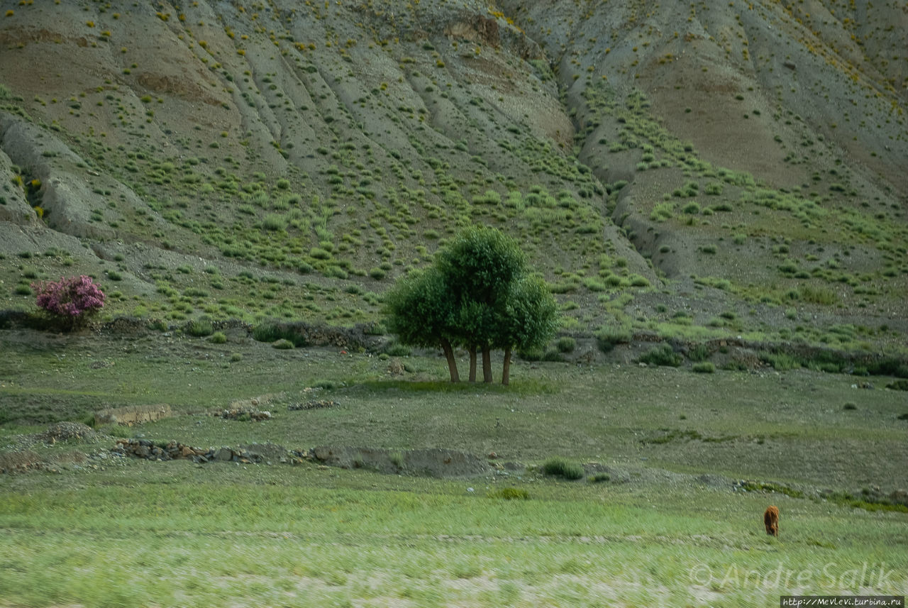 Долина Сонамарг ( в переводе – золотой луг) Лех, Индия