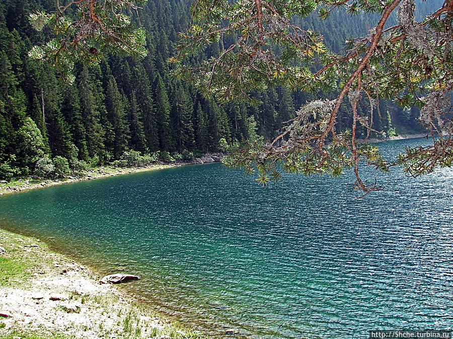 Живописные берега горного Черного озера в нац.парке Дурмитор Жабляк, Черногория