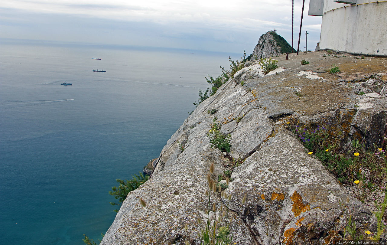 Акватория Аппэ Рок Природный Парк, Гибралтар