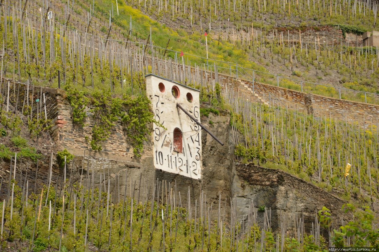 Старые солнечные часы Целтингена(1620) показывают, когда на виноградниках светит солнце. foto Internet