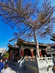 Храм Вуе (Wuye Temple), Утайшань.