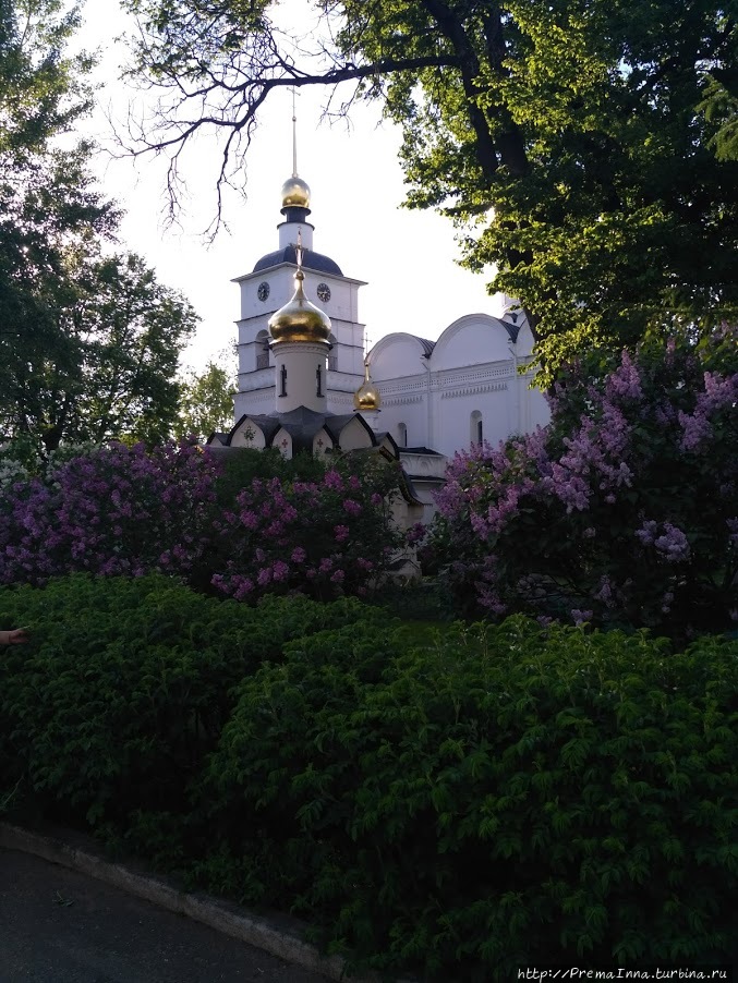 Главный храм монастыря, утопающий в ароматных кустах сирени Дмитров, Россия