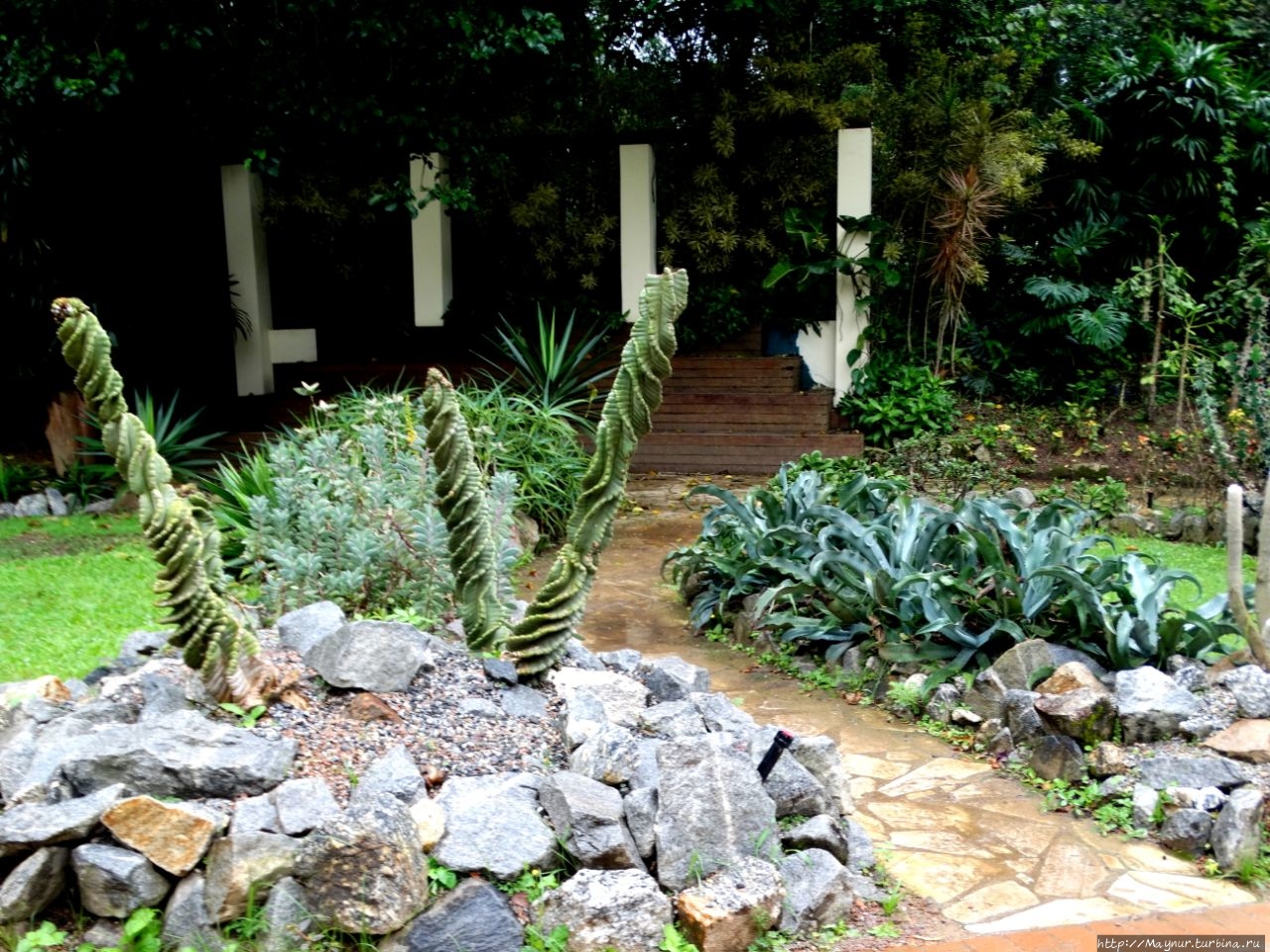 Ботанический Сад Рио Де Жанейро Фото