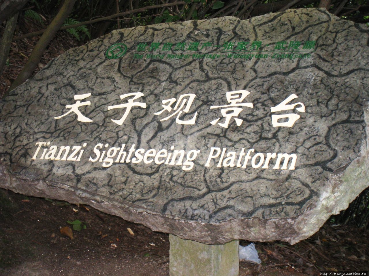 Резерват Тяньцзышань Чжанцзяцзе Национальный Лесной Парк (Парк Аватар), Китай