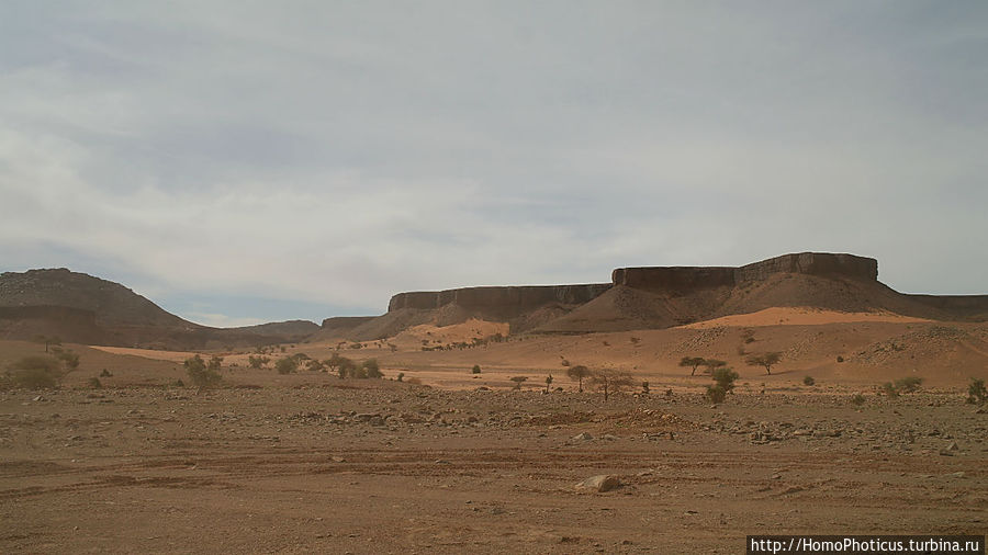 Просветительская миссия Тержит, Мавритания