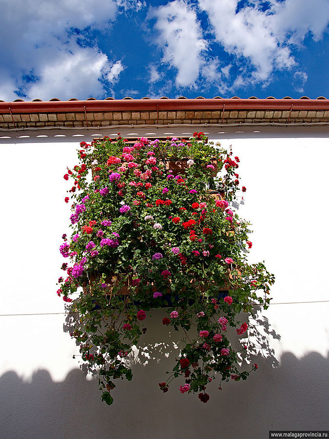 Знаменитые внутренние дворики Кордобы. Patios de Córdoba Кордова, Испания