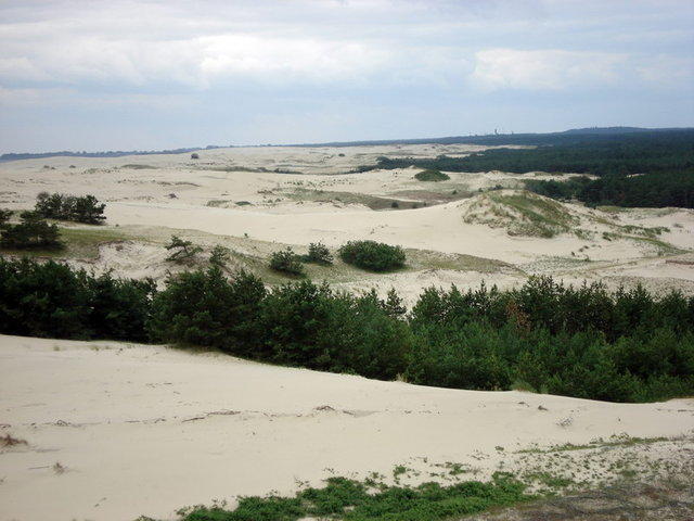 дюны Куршская Коса Национальный Парк, Россия