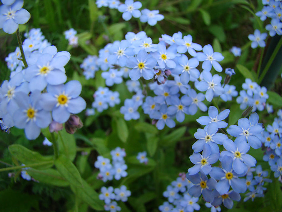 Девочки! Весна! Москва, Россия