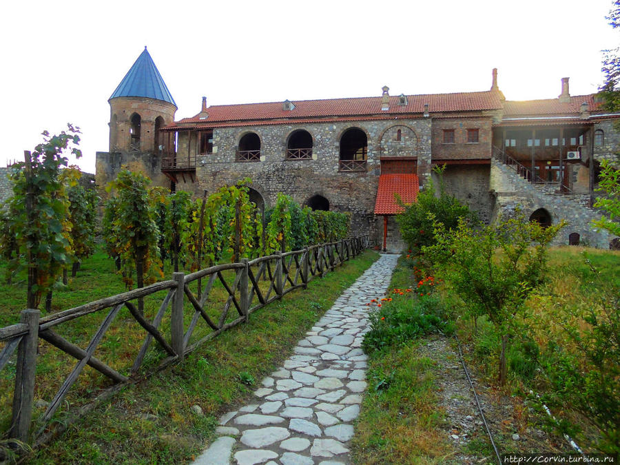 Алаверди, виногданики и жилища монахов. Квемо-Альвани, Грузия
