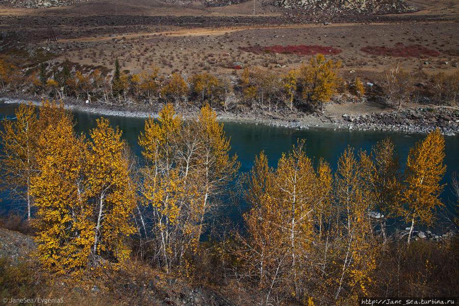 На берегах Катуни Чибит, Россия