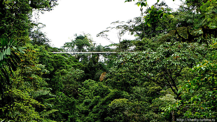 Небесные мосты Аренал, Коста-Рика
