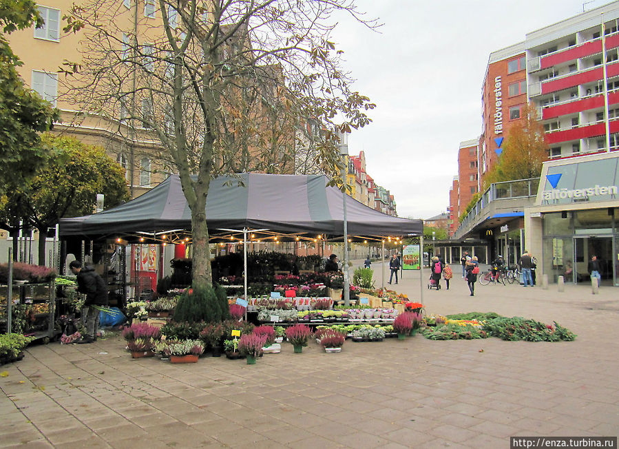Небольшой цветочный рынок на площади Karlaplan Стокгольм, Швеция