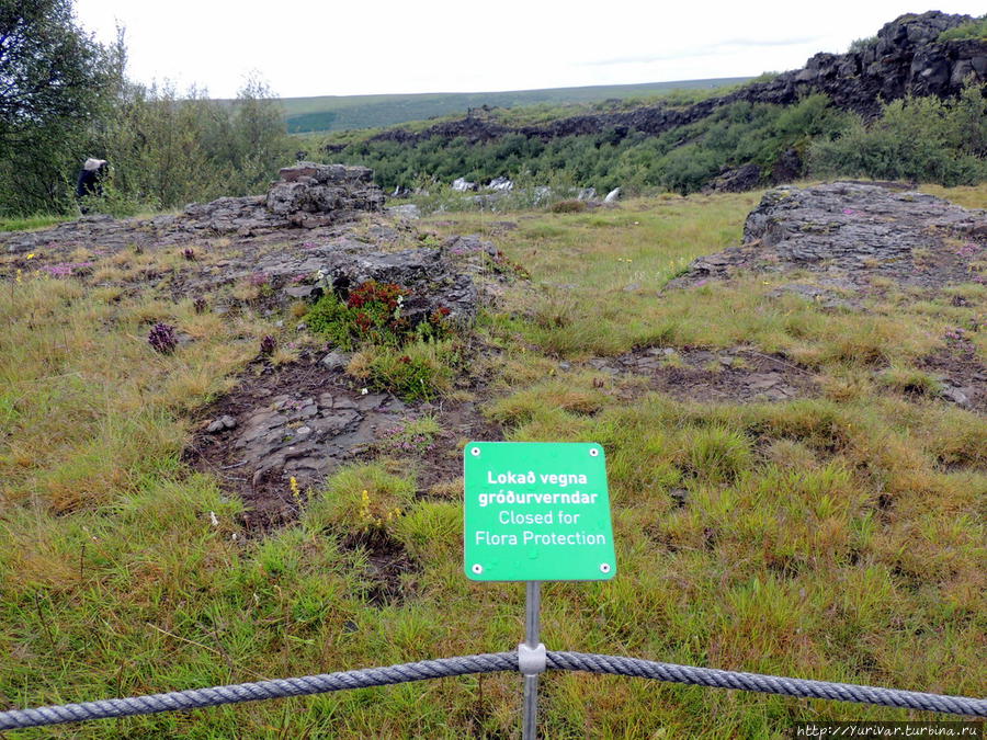 Исландцы очень берегут свою хрупкую природу — везде нужно ходить только по тропинкам. Рейкьявик, Исландия