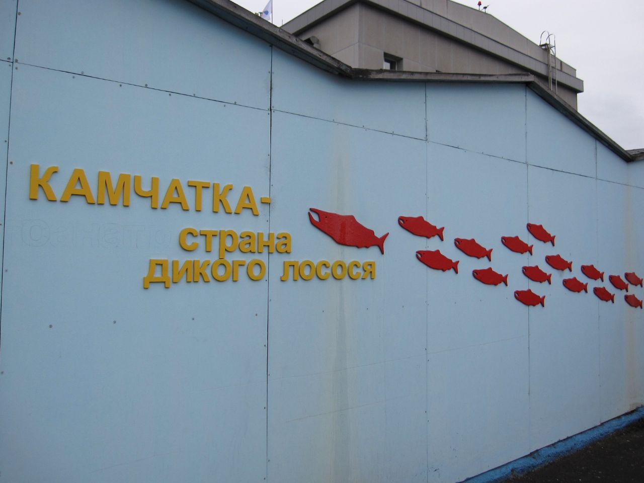 камчатка отзывы. камчатка отзывы туристов. морская прогулка петропавловск-камчатский. камчатка отзывы. камчатка отзывы.