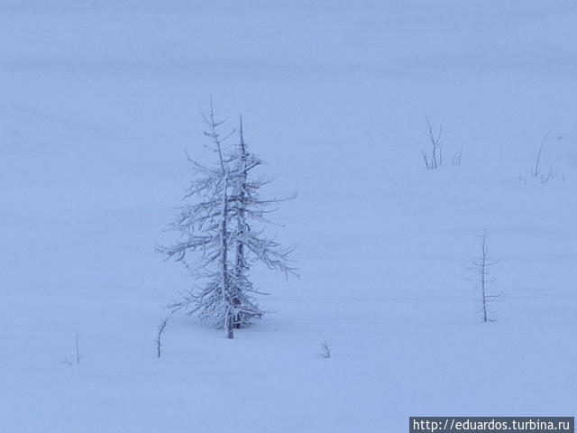 Морозные картинки Игарка, Россия