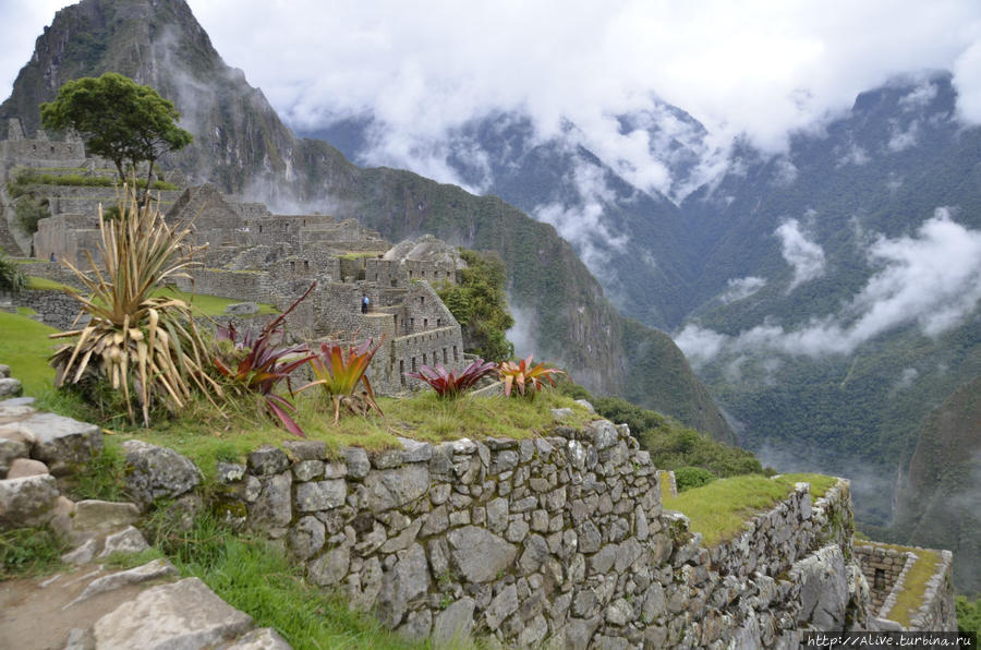 Пейзажи Мачу Пикчу Перу