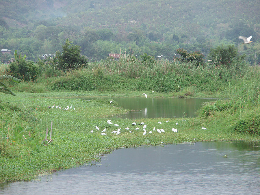 Озеро Инле. Безмятежность Озеро Инле, Мьянма
