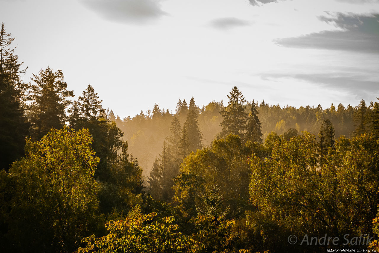 В лесу до рассвета Сигулда, Латвия
