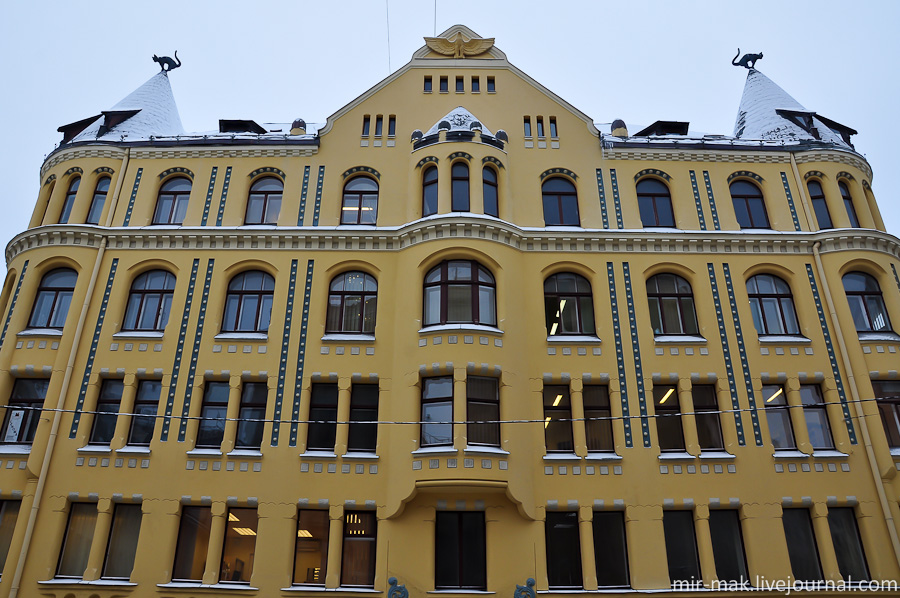 Дом с котами. Рига, Латвия