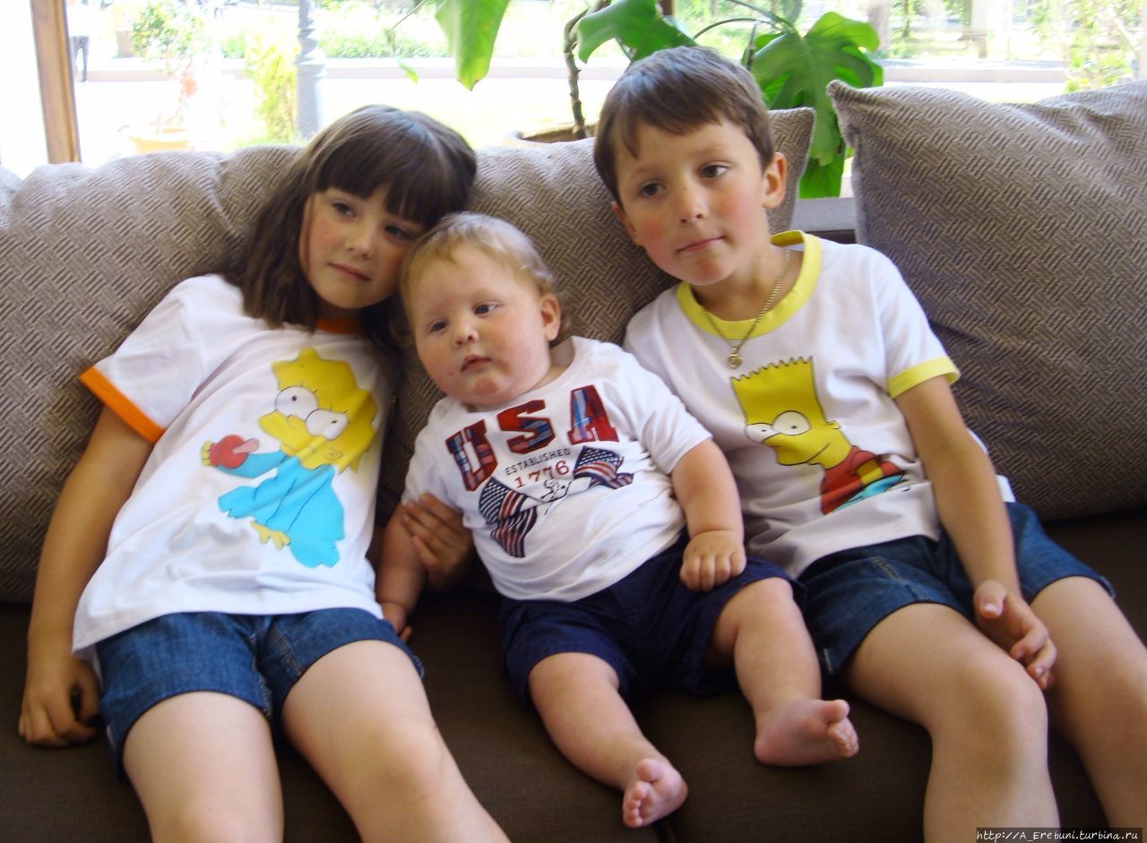 Симпсоны и Симпсоняны