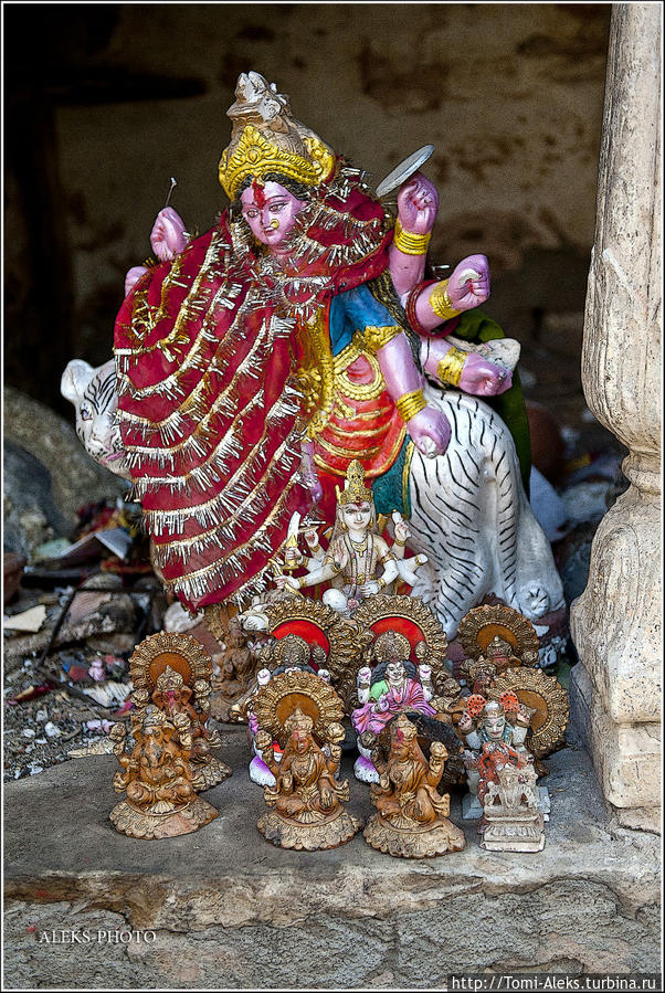 Придорожная пастораль  (Индийские Приключения ч43) Джайпур, Индия