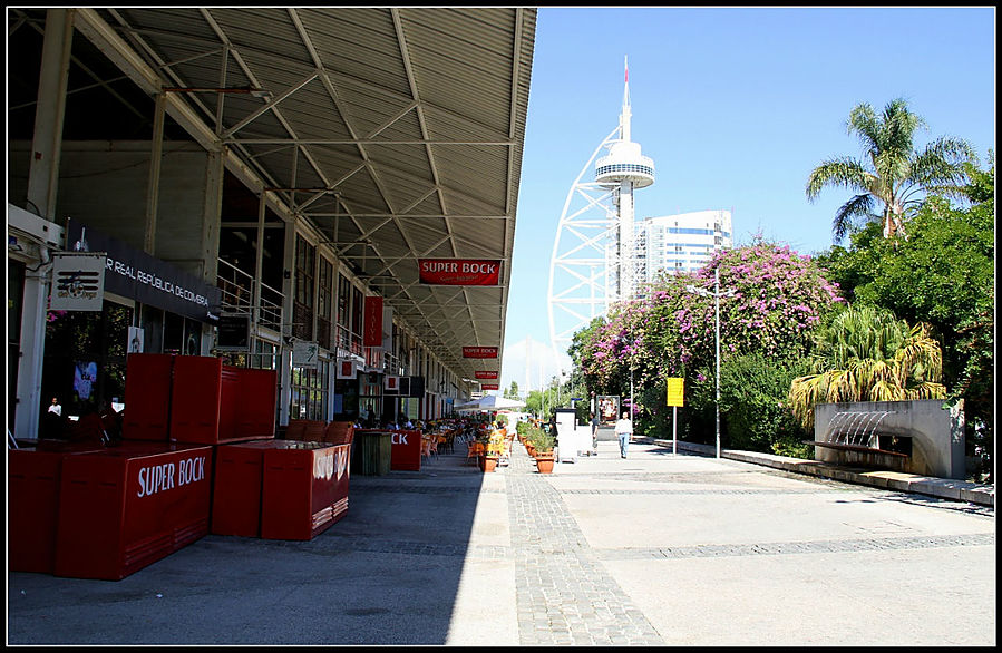 В этом месте много рыбных ресторанов