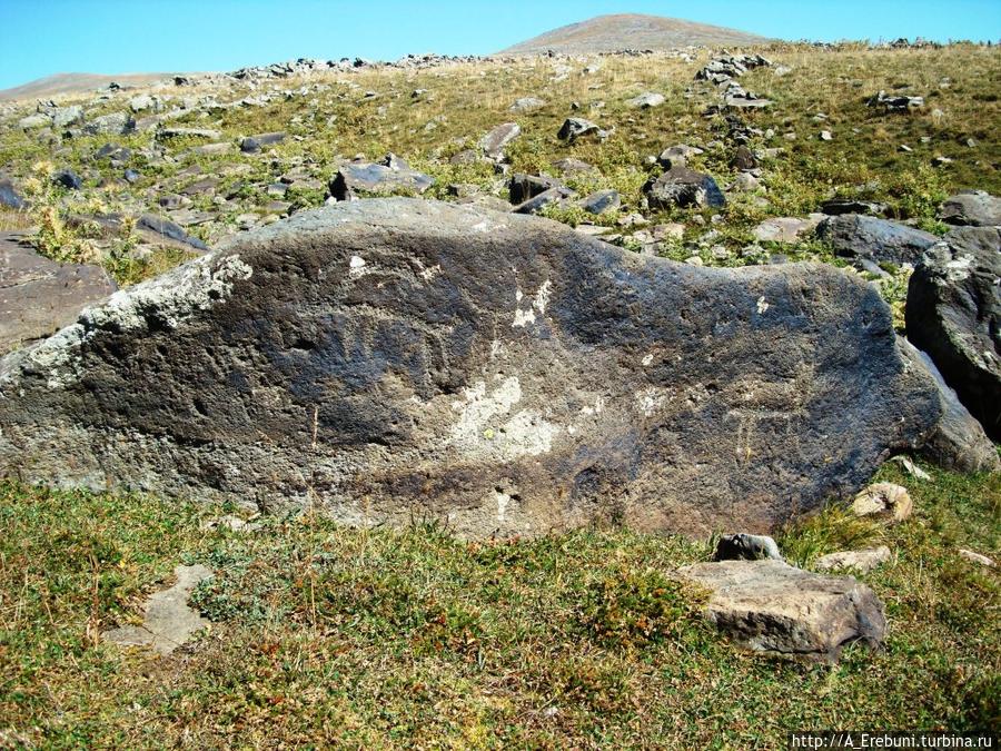 Наскальные рисунки Мурадсара Егвард, Армения