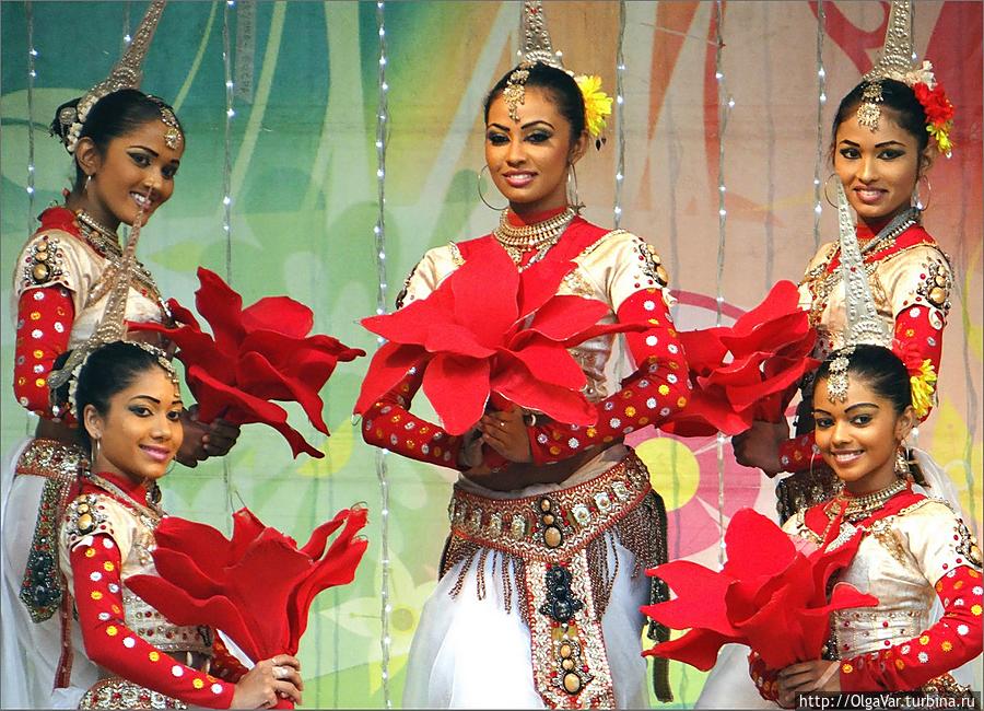 Женская часть танцевального коллектива. Все как на подбор — красавицы Екатеринбург, Россия