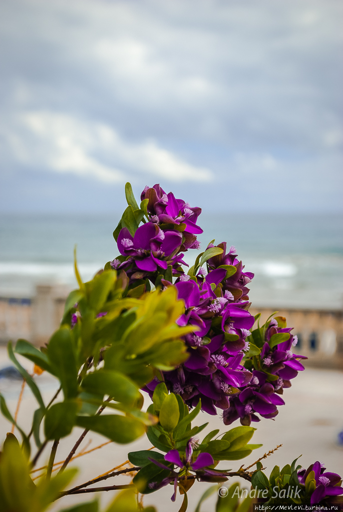 Южный город Ситжес, Испания