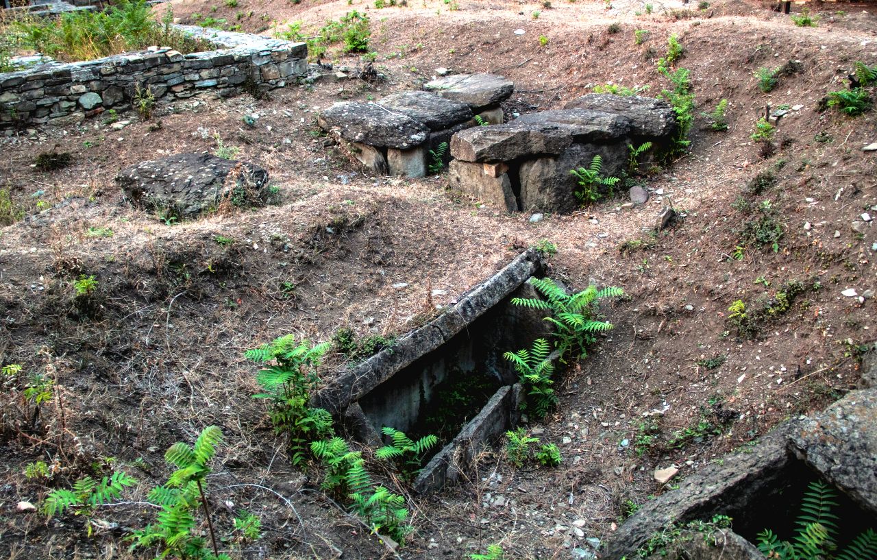 раскопки городища Армази Армази, Грузия