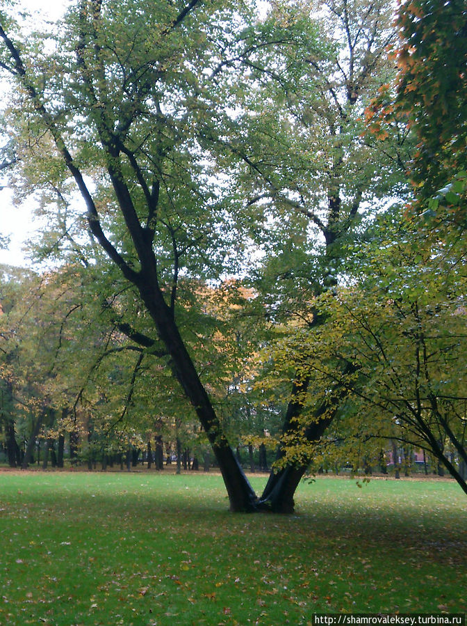 Акварели Михайловского сада Санкт-Петербург, Россия